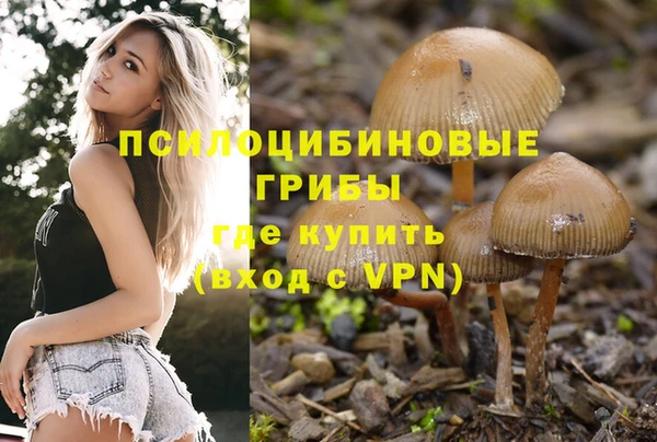 прущий лед Армянск