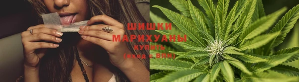 амф Новодвинск