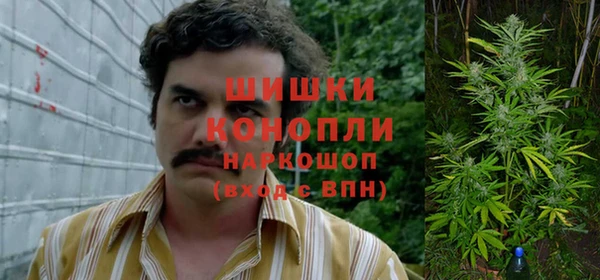 спиды Новозыбков
